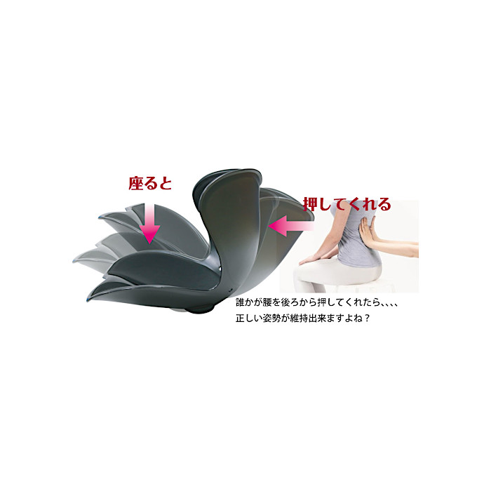 セシルシェイプ | 骨盤サポート 姿勢矯正