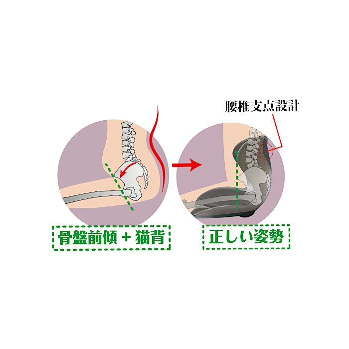 セシルシェイプ | 骨盤サポート 姿勢矯正