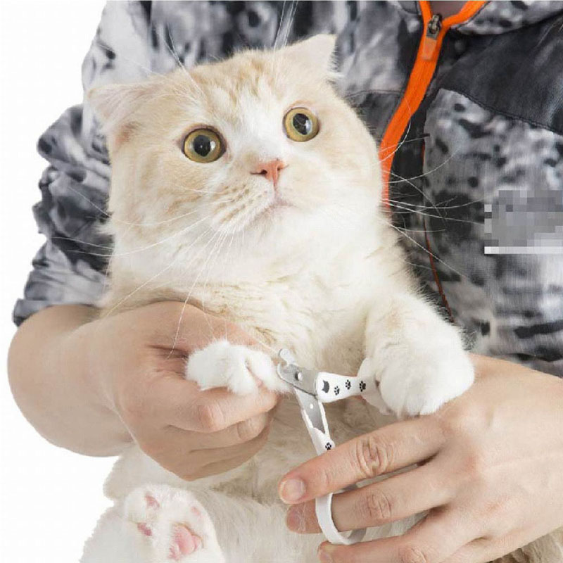 ストレスなくスパッと切れる猫用爪切り 日本製 ホワイト