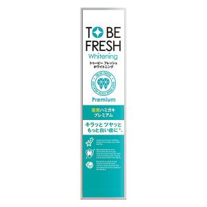 トゥービー フレッシュ 薬用デンタルペーストプレミアム 60g