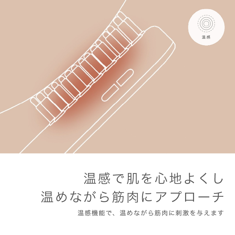 【お取り寄せ商品】EMSリフトブラシ SAL22206-SL