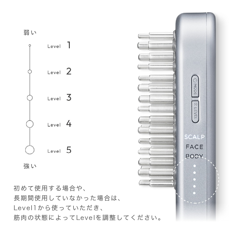 【お取り寄せ商品】EMSリフトブラシ SAL22206-SL