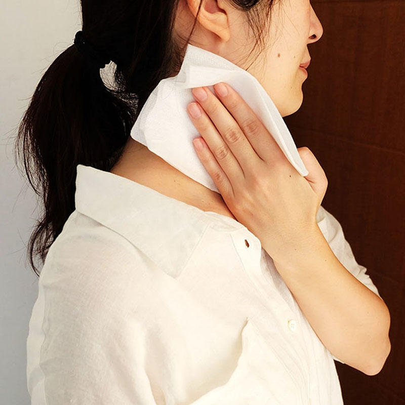 サラテクト 虫よけ シート 20枚