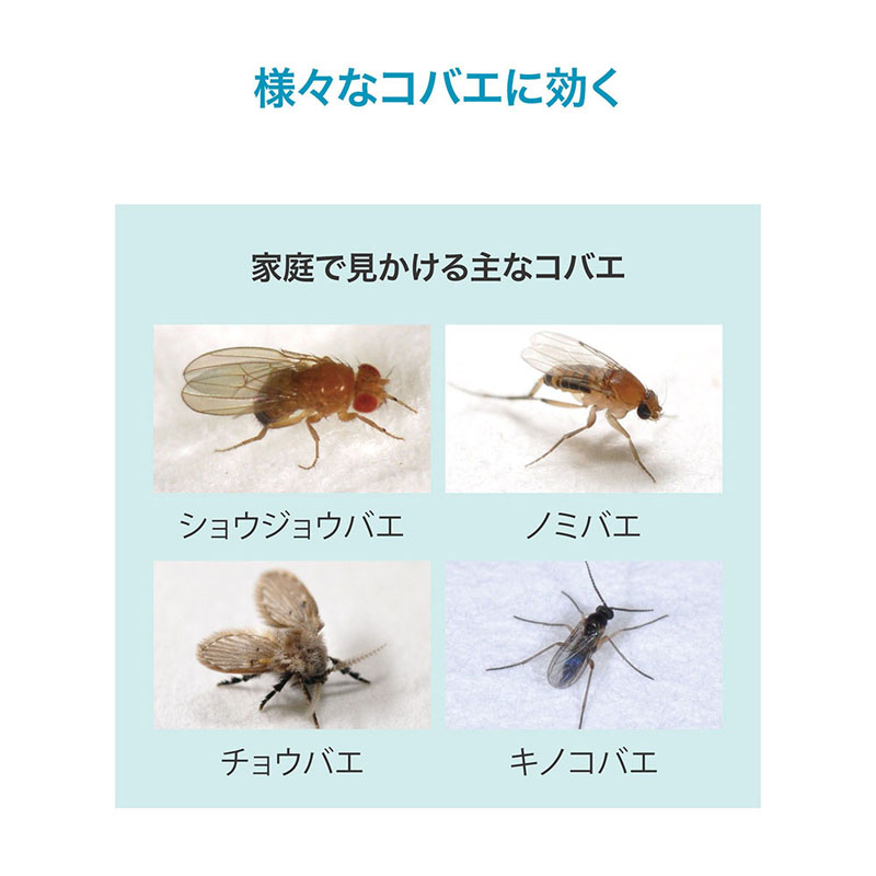 おすだけコバエアーススプレー 60回分