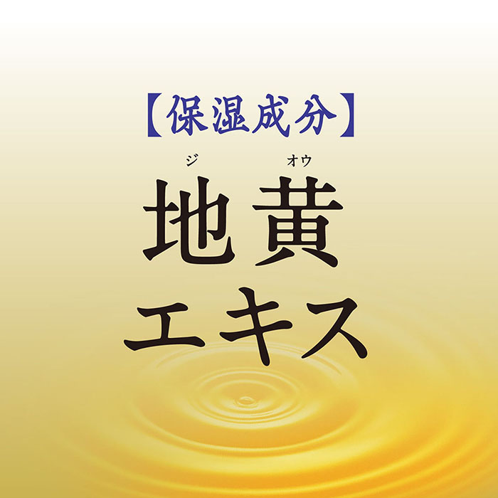 バスロマン 薬泉 ほぐし浴 薬用入浴剤 600g【医薬部外品】