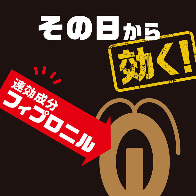 ブラックキャップ 12個 24g