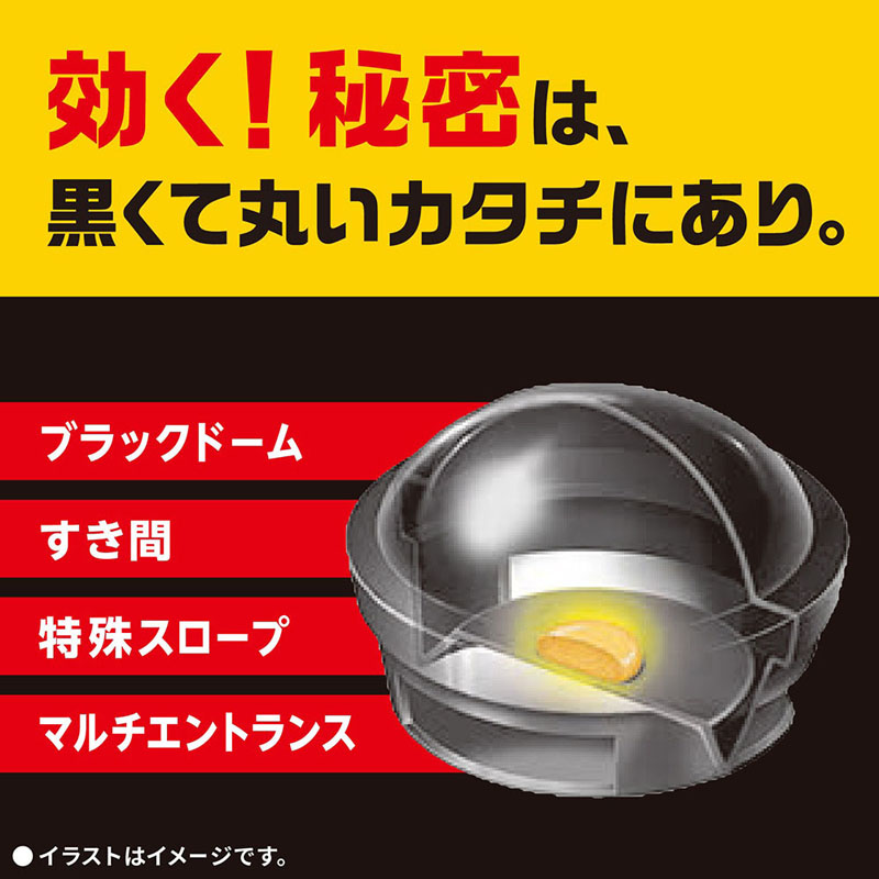 ブラックキャップ 12個 24g