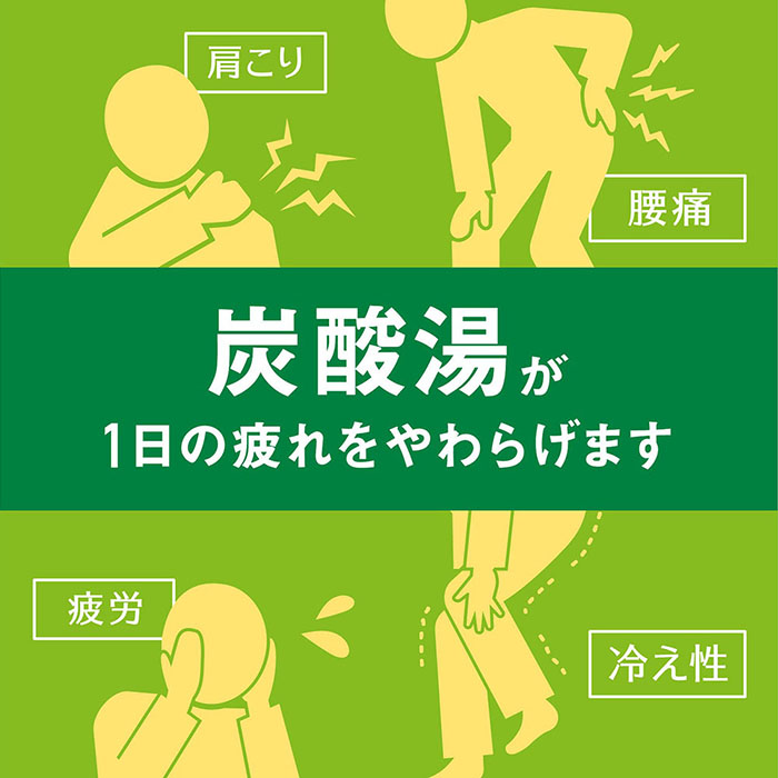 温泡 こだわり森 炭酸湯 発泡20錠【医薬部外品】