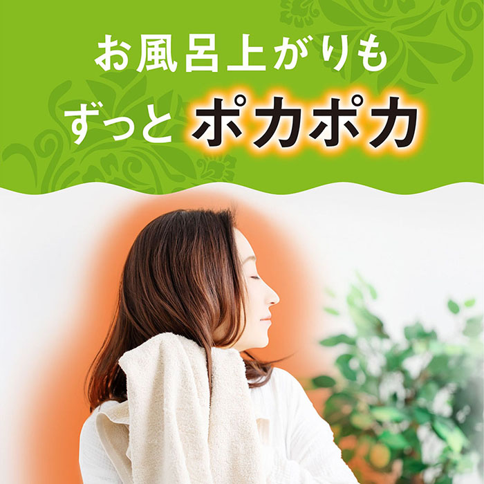 温泡 こだわり森 炭酸湯 発泡20錠【医薬部外品】