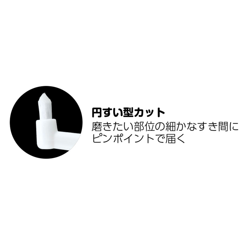 ポイントブラシ M