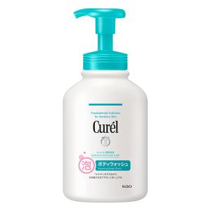 キュレル 潤浸保湿 泡ボディウォッシュ ポンプ 480ml【医薬部外品】