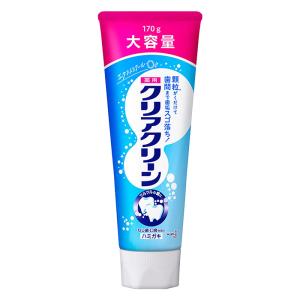 クリアクリーン エクストラクール BIGサイズ 170g