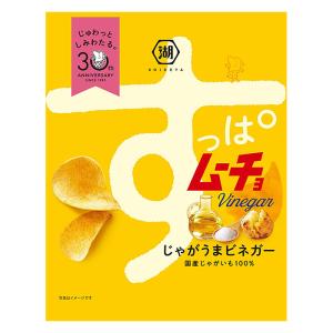 すっぱムーチョじゃがうまビネガー 55g