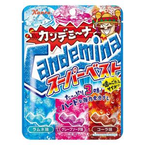 カンデミーナグミスーパーベスト 72g