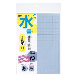 水書練習用紙B5 3枚