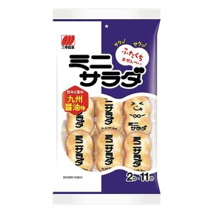 ミニサラダ九州醤油味 22枚