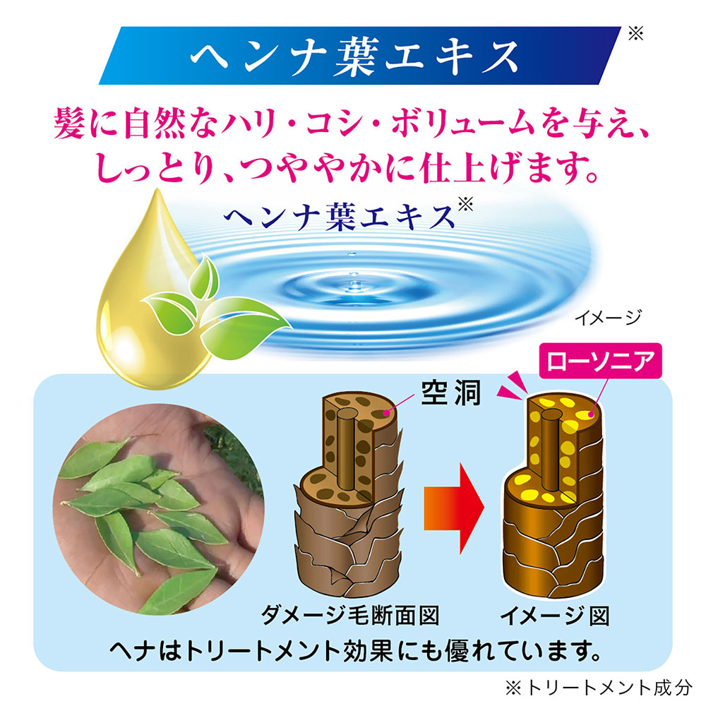 ヘナカラートリートメント 250g ダークブラウン