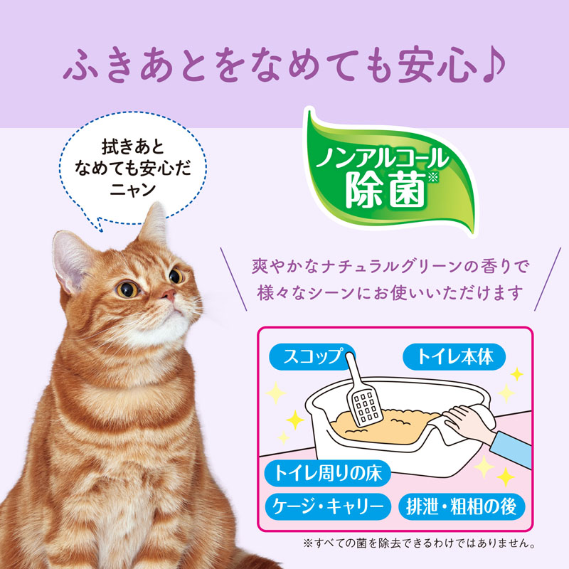 キミおもい 徹底キレイおそうじシート 大判厚手 ナチュラルグリーンの香り 26枚×2P