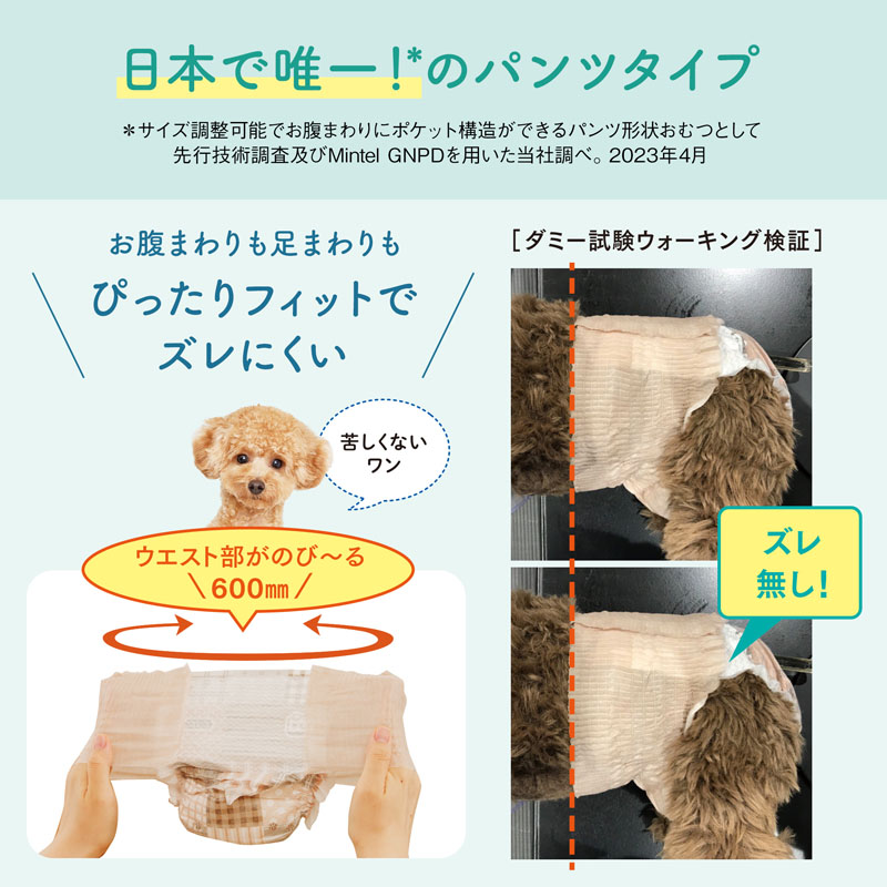 キミおもい アクティブウェア SSS～S 30枚
