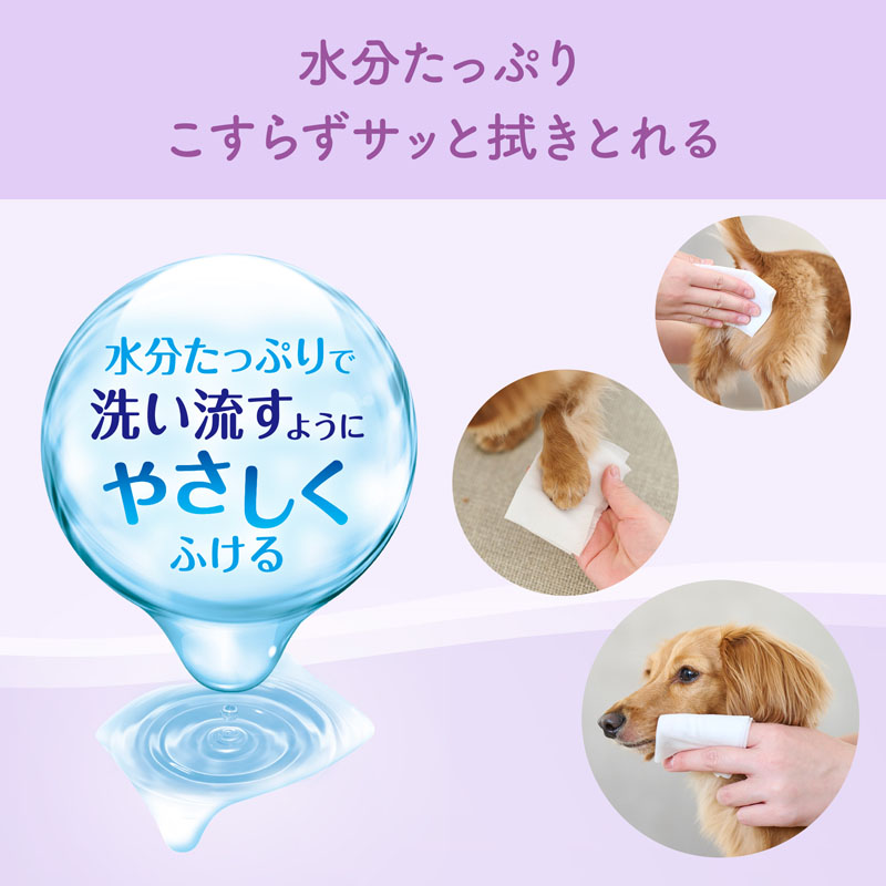 キミおもい 肌にやさしいウエットティシュー 純水99% 70枚×3P