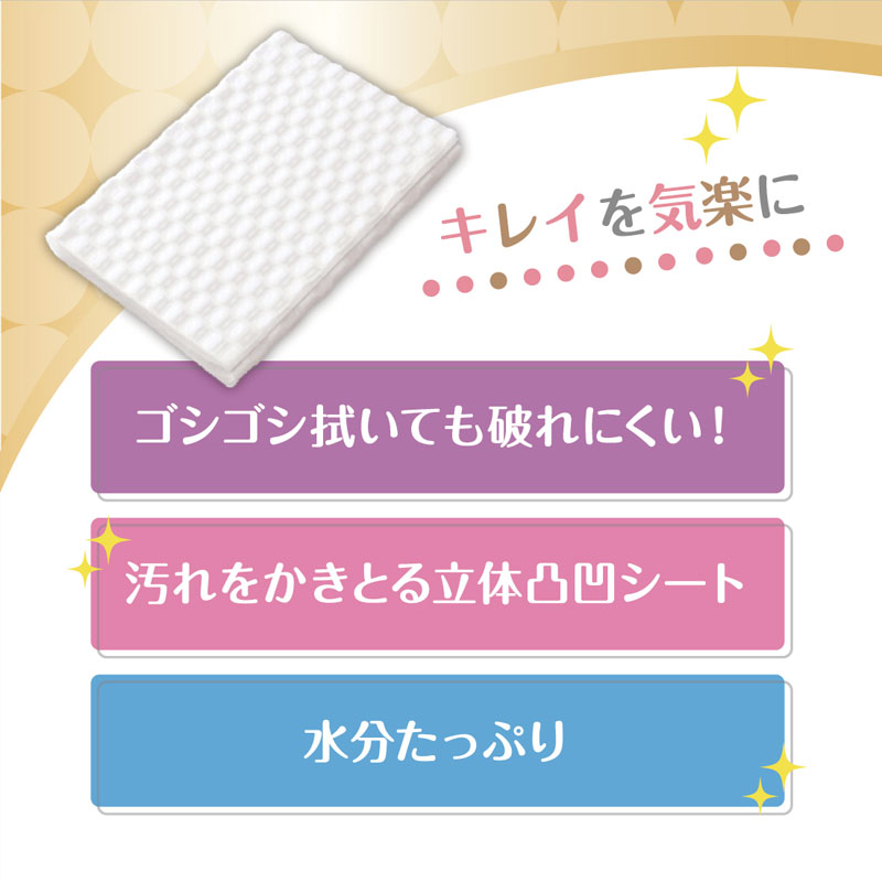 キレキラ!トイレクリーナー本体 10枚 1P クリーンフローラル