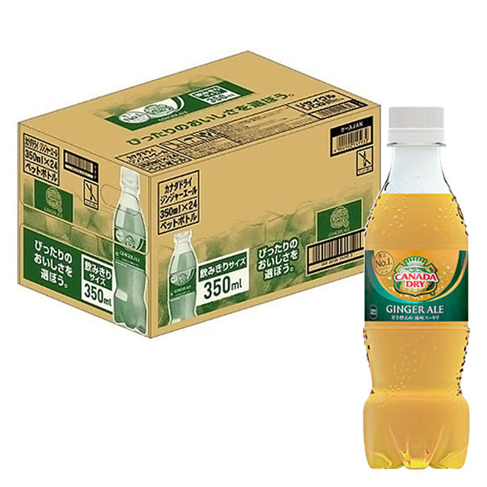 ジンジャーエール 1箱（350ml×24本）
