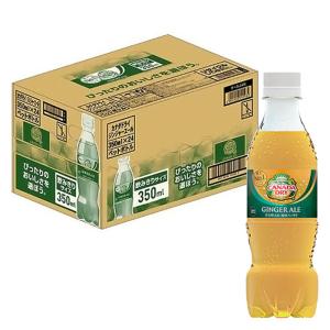 ジンジャーエール 1箱（350ml×24本）
