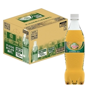 ジンジャーエール 1箱（700ml×20本）
