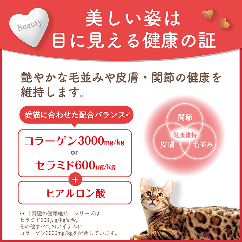 ビューティープロ キャット 下部尿路の健康維持 低脂肪 1歳から 2.7kg(450g×6袋)