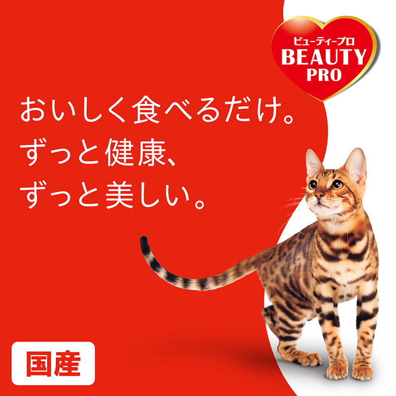 ビューティープロ キャット 腎臓の健康維持 15歳以上 フィッシュ味 2.7kg(450g×6袋)