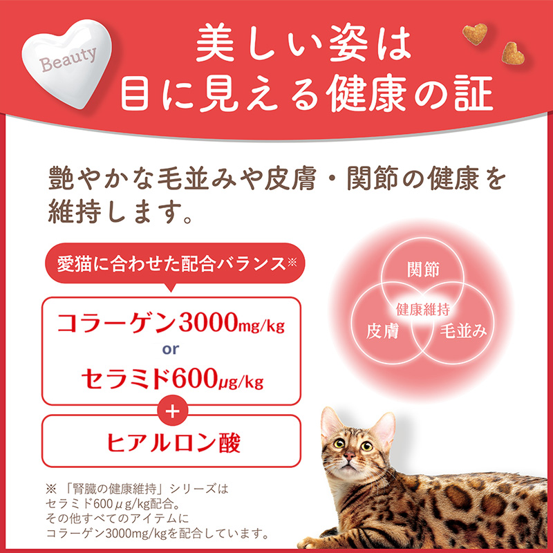 ビューティープロ Wケア 腸内自然免疫ケア 1.2kg