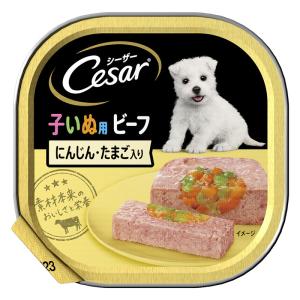 シーザー 子いぬ用 ビーフ にんじんたまご入り 100g