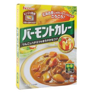 レトルト バーモントカレー 中辛 1人前(200g)