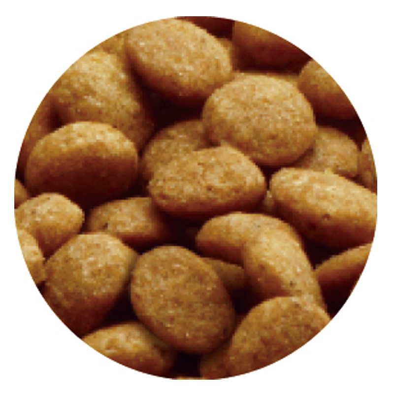 メディファスアドバンス 猫 グレインフリー 1歳から チキン＆フィッシュ味 250g×5袋