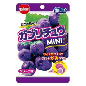 ガブリチュウMINIグレープ 28g