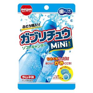 ガブリチュウMINIラムネ 28g