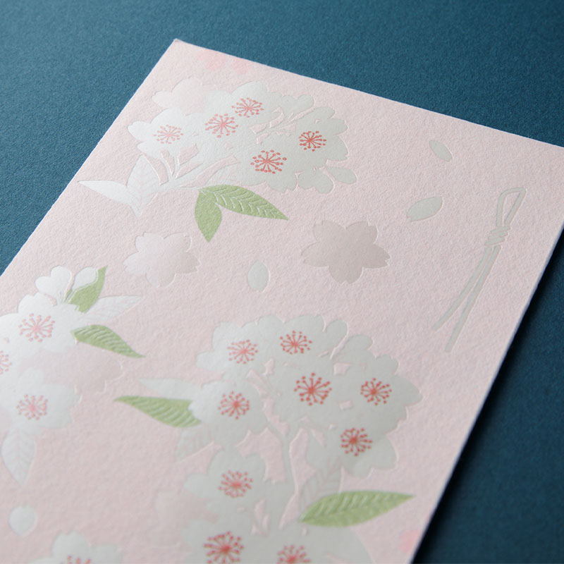 金封586 のし袋 桜柄