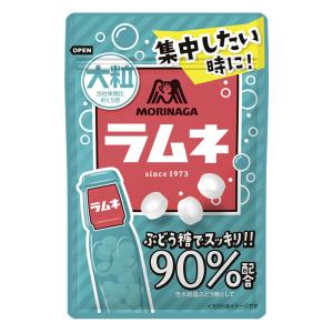 大粒ラムネ 41g