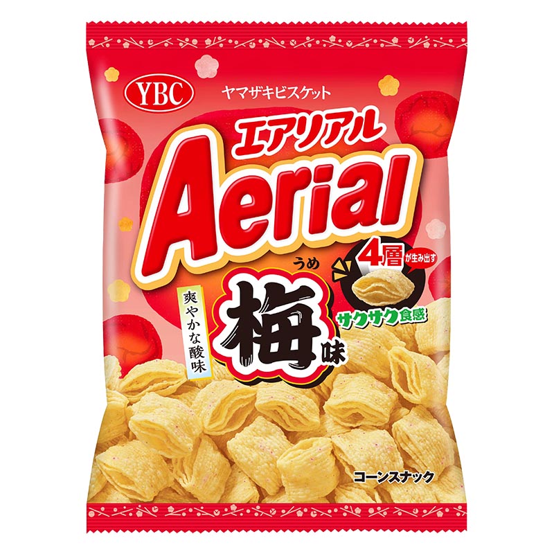 エアリアル 梅味 65g