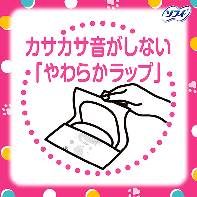 センターイン ふわふわ ふつうの日 羽つき 21cm 18枚入×2個