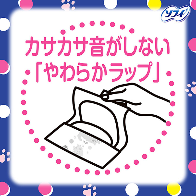 センターイン ふわふわ 多い夜用 羽つき 29cm 18枚
