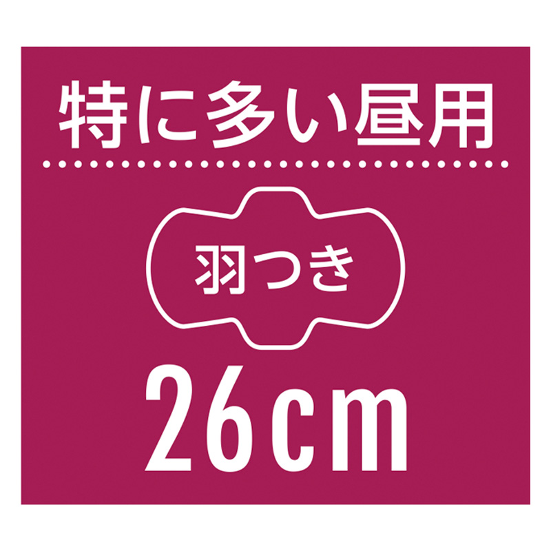 ソフィ SPORTS 260 羽つき 19枚