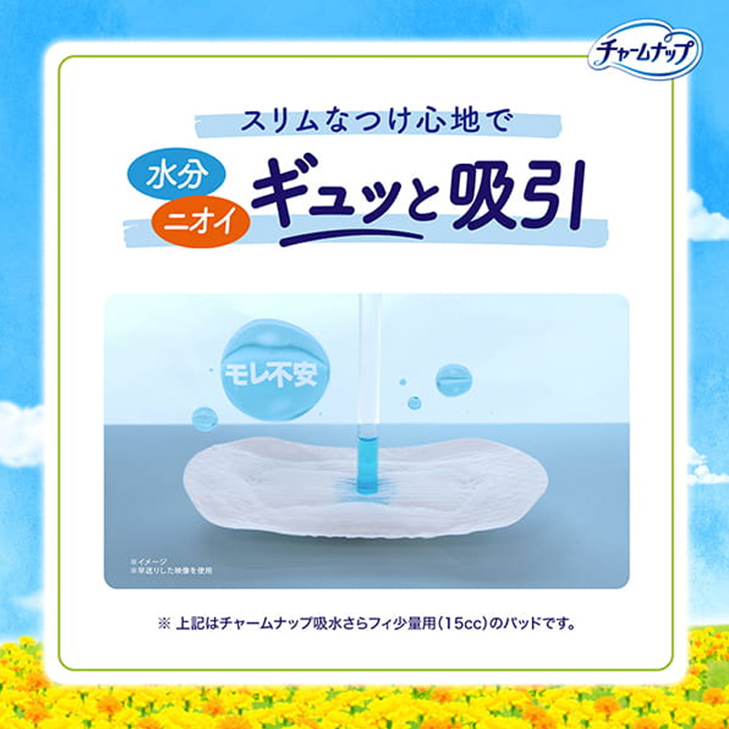 チャームナップ 吸水さらフィ 安心の少量用 30cc 23cm 22枚
