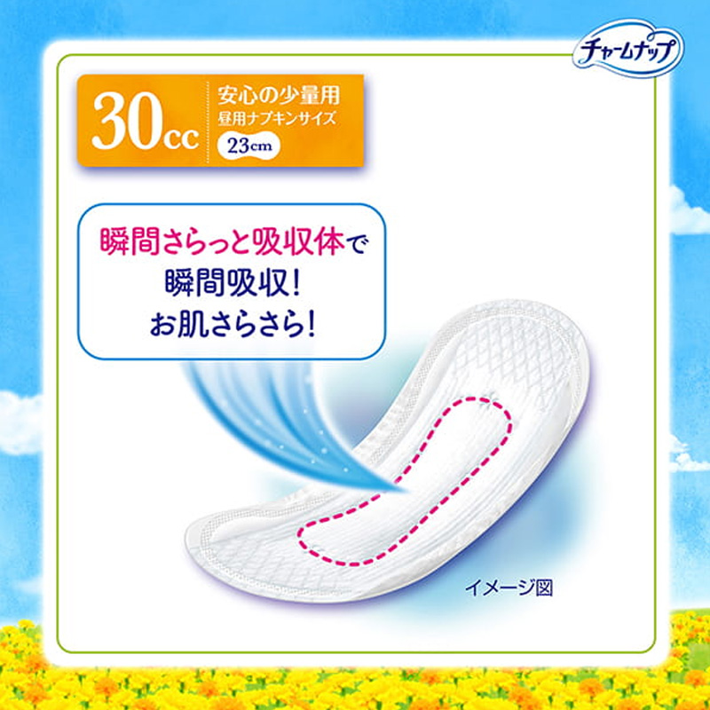 チャームナップ 吸水さらフィ 安心の少量用 30cc 23cm 22枚