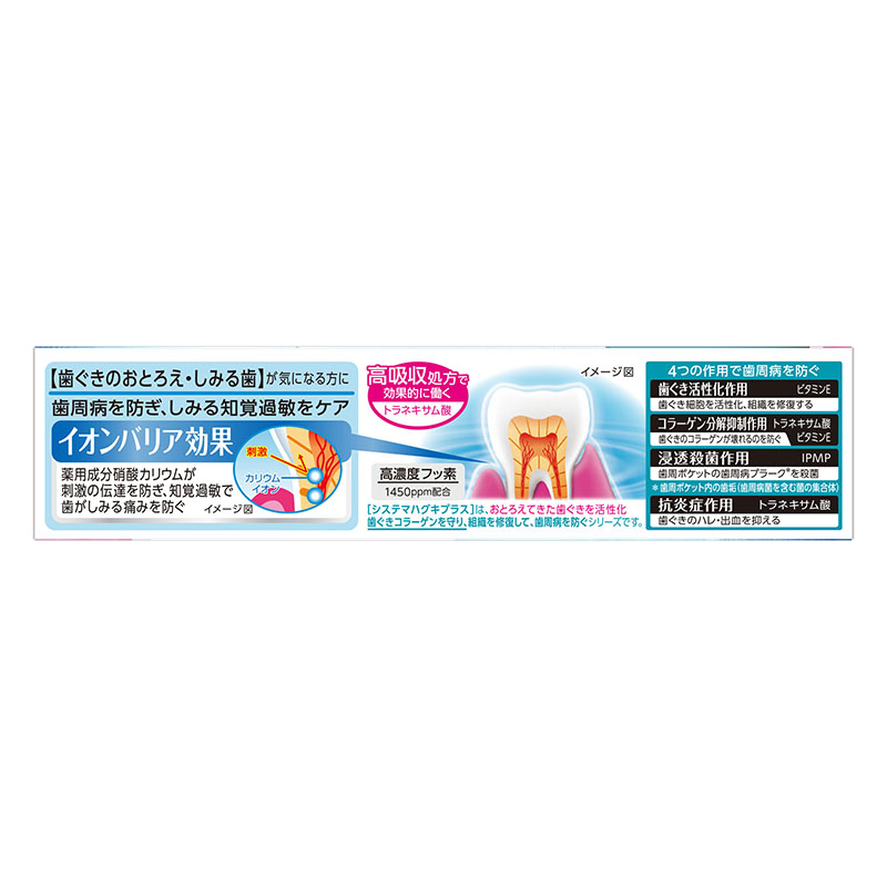 システマ ハグキプラスS ハミガキ マイルドハーブ 95g