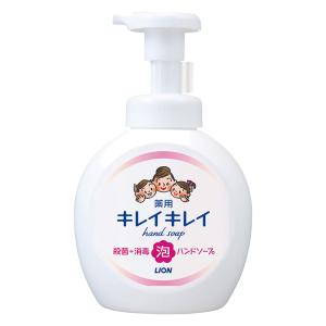 キレイキレイ 薬用泡ハンドソープ シトラスフルーティの香り 本体 大型【医薬部外品】 500ml