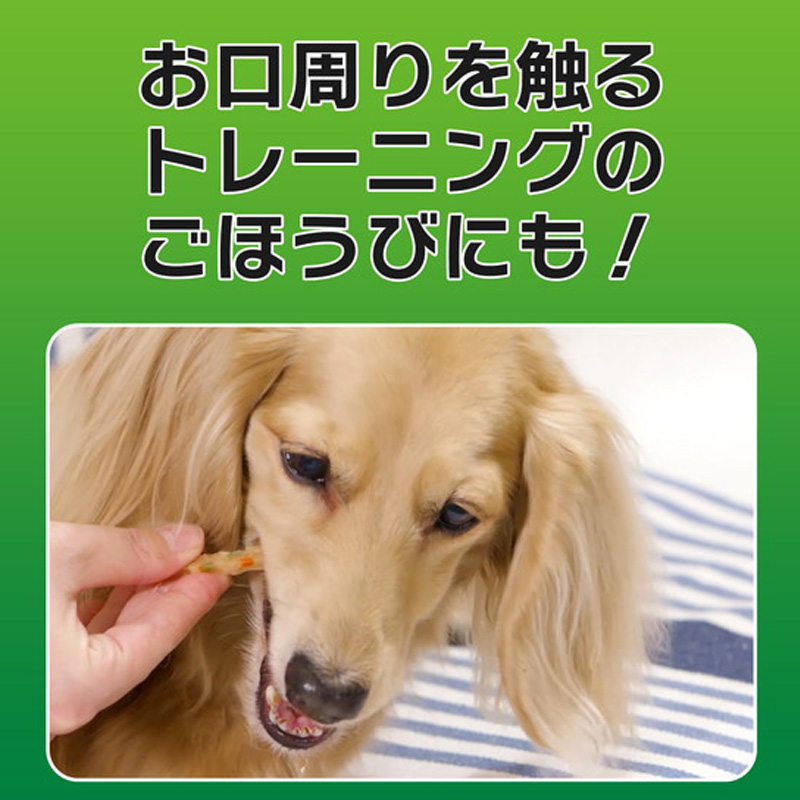 PETKISS ワンちゃんの歯みがきおやつササミスティック野菜 60g