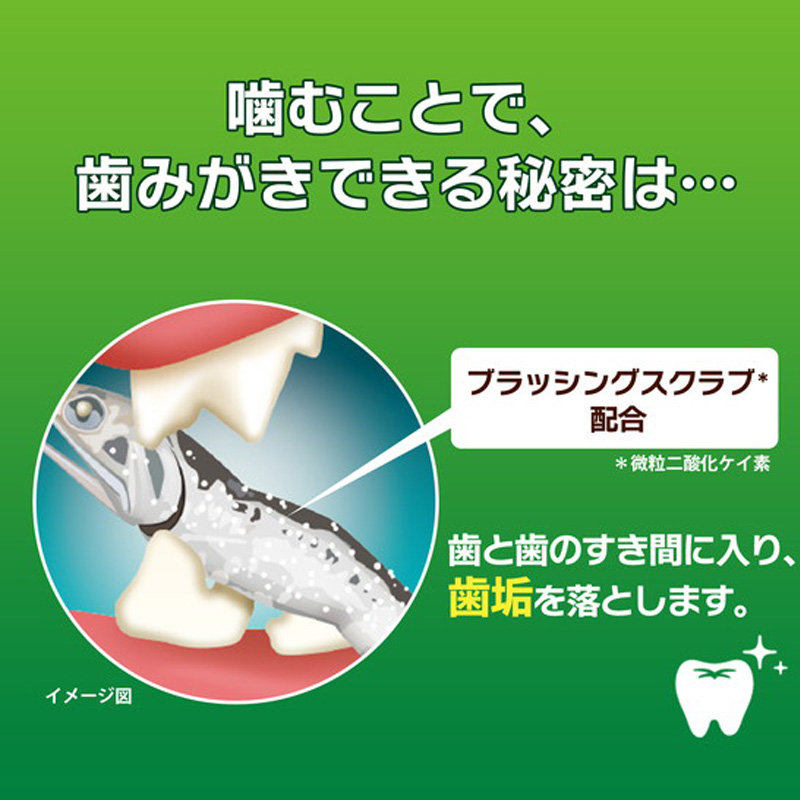 PETKISSネコちゃんの歯みがきおやつにぼし 12g