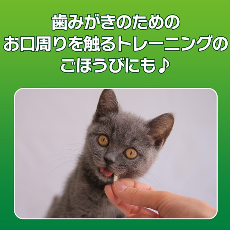 PETKISSネコちゃんの歯みがきおやつにぼし 12g