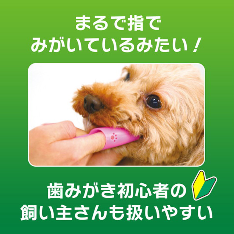 ペットケア用品 PETKISS指サック歯ブラシ